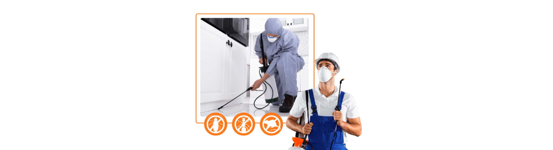 Equipe de Dedetizadora 24 HORAS